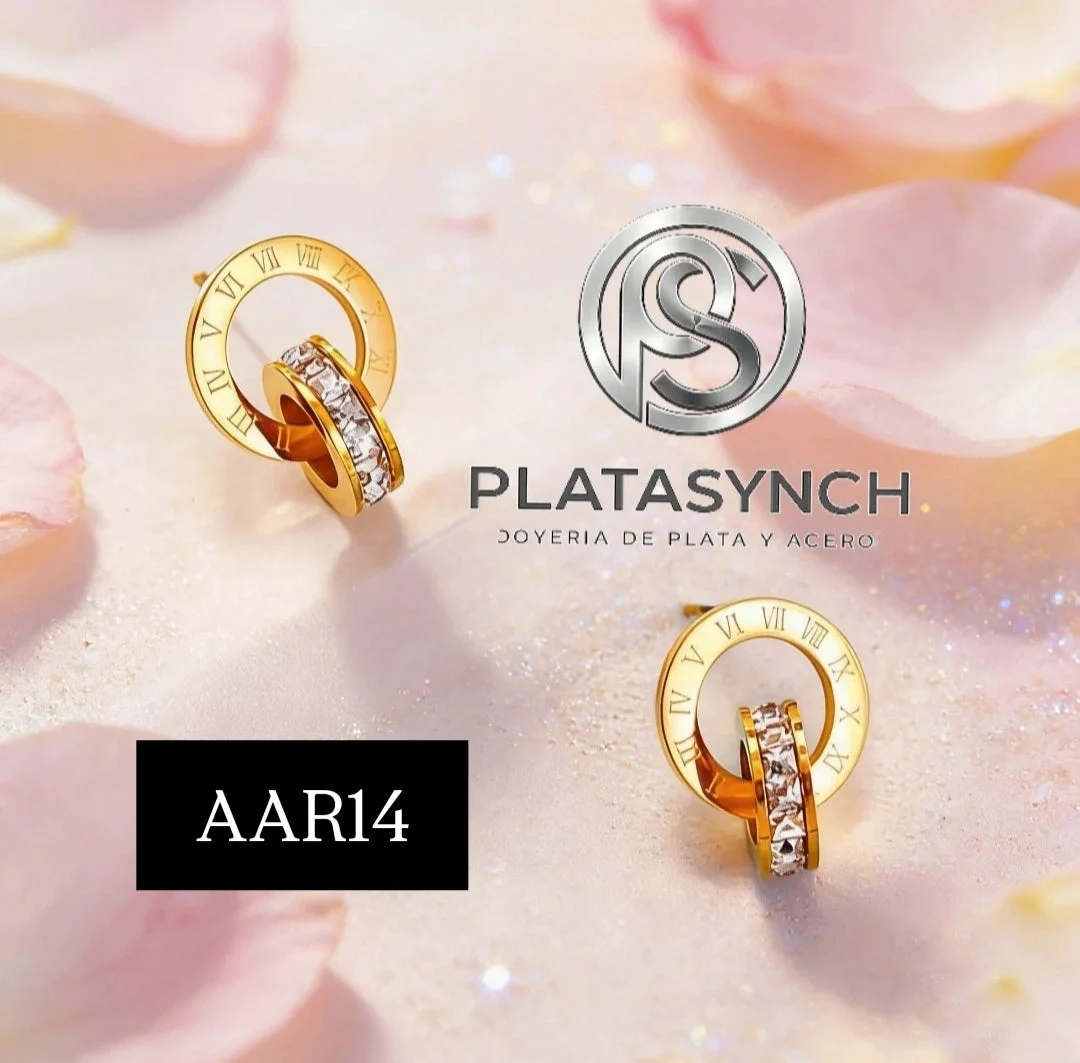 AAR14 Aretes acero de palito - Bohemios elegantes dorado numeros romanos y circulo con zirconeas