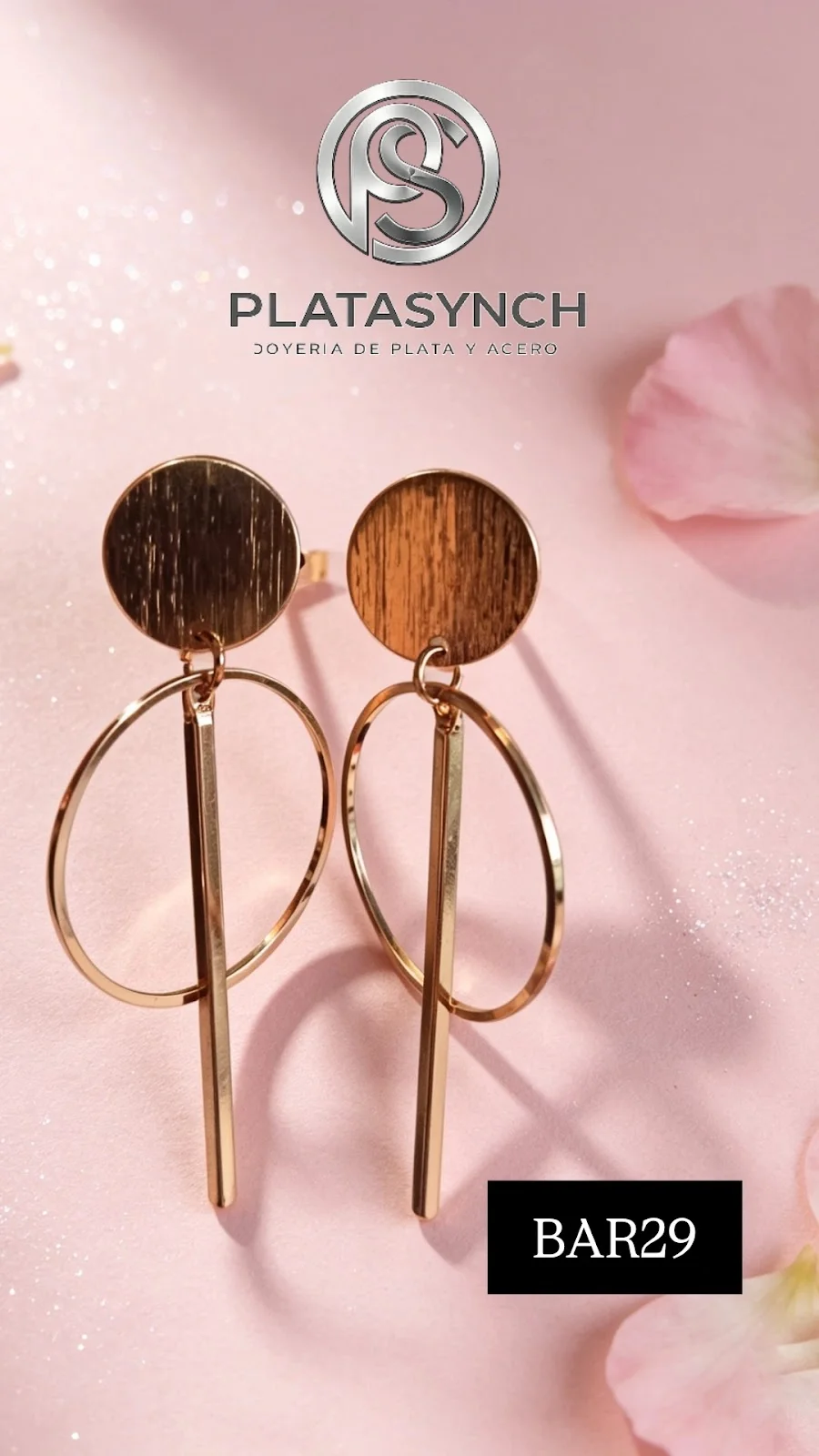 BAR29 - Aretes brass Doble circulo - Palito dorado